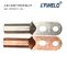 DT 2 holes Copper Terminal Cable Lug, Manufacture Copper Cable Lug Tinned Copper Lug Terminal DT Lug proveedor